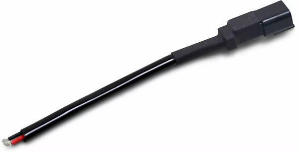 Brite-lites Firamento feminino líder feminino bL-whcf