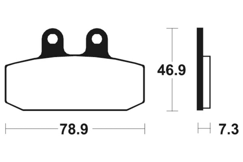 Tecnium Maxi Scooter Sinterned Metal Breai Pachots - MSS88 1023228