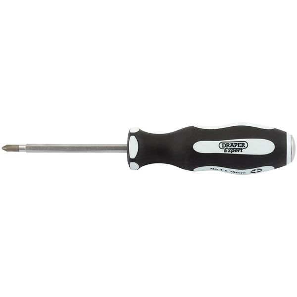 DRAPER Cross Slot Screwdriver 2x100mm 35223.0