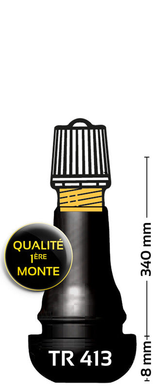 Bihr TR413 Válvula de pneu emborrachada - pacote de 1002014