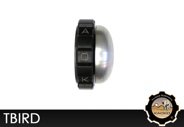 Kaoko Cruise Control Bomotle Stabilizer Triumph Thunderbird Tbird