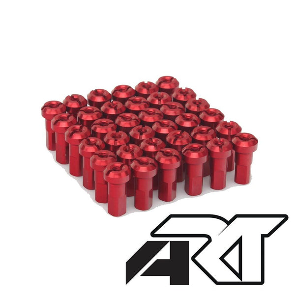 Haan Wheels Spokes Conjunto - 36 raios TR -Red