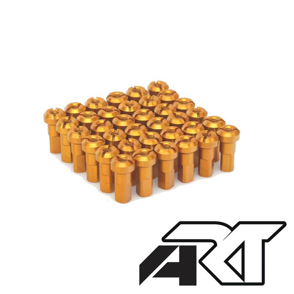 Haan Wheels Spokes Conjunto - 36 raios TR -Gold