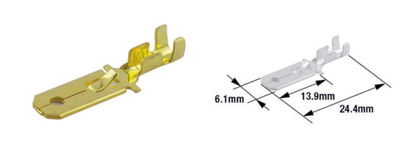 Pino do terminal masculino Tourmax Tipo 250-BRASS-100-PACK-ETP-30