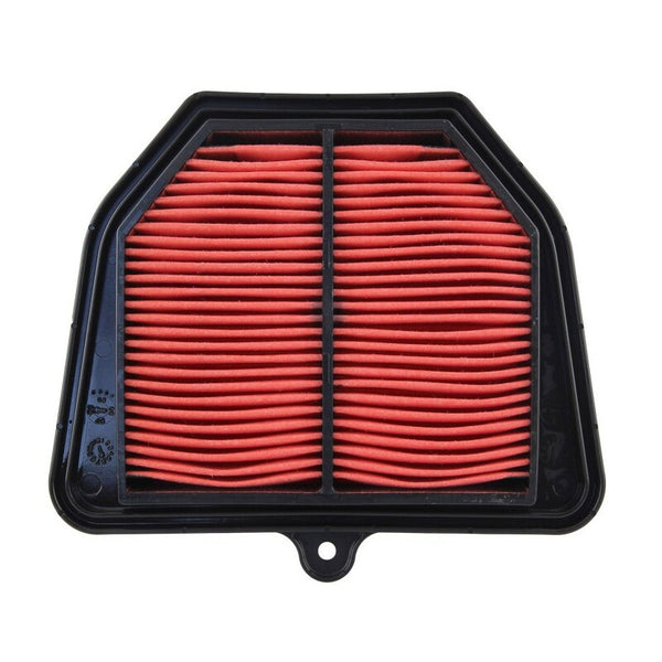 Tecnium Air Filter - 2D11445100