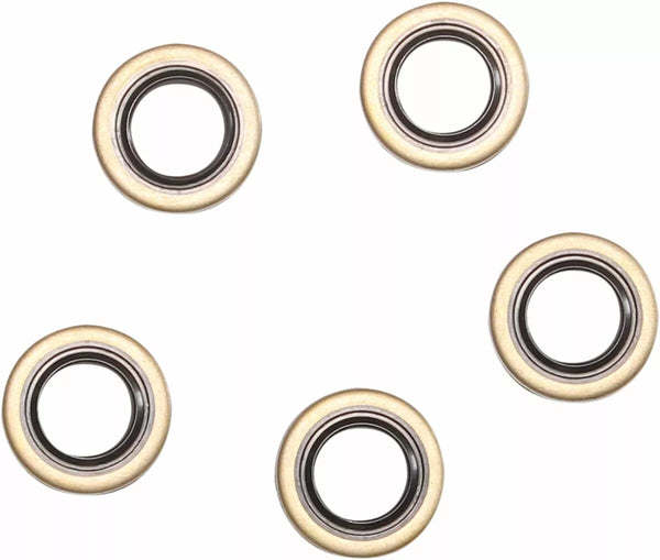 Ponto de vedação comética DBL Lip 5pk C9350