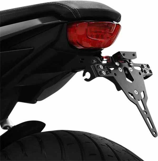 ZIEGER LCS PLT HLD TIPO A CB650R 10008026