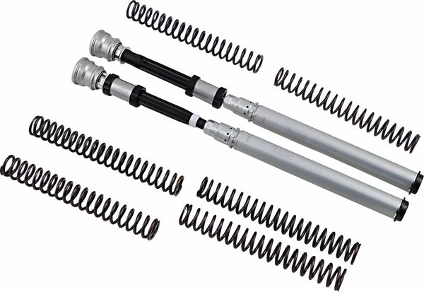 Cartucho Ohlins BMW S/M 1000 RR TTX2 FKR 122