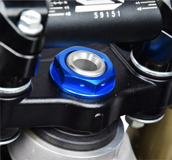 Núcula de caule da direção cicatricial BL 3.24150N