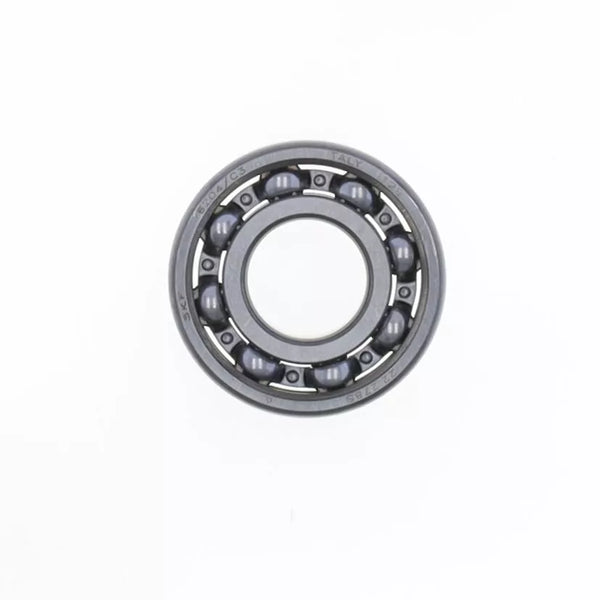 Centauro rolando 6204/C4-SKF BS2C4204714
