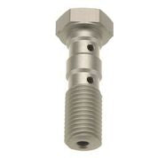 TRW Banjo Bolt DBL M10X1.25 S MCH951C