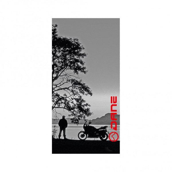 Dane Neck Collar Summer Grey