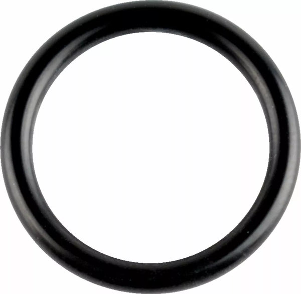 WSM ORING CRANSHAFT 008-600-07