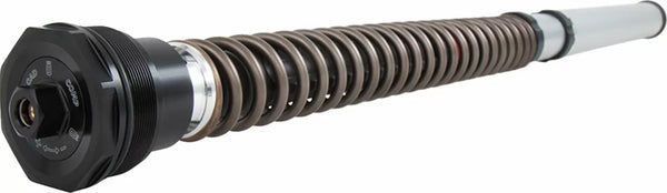 Cartucho OHLINS BMW R NINE T NIX30 F FKS 505