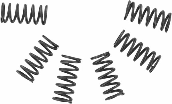 Conjunto de mola da embreagem EBC CSK CSK002