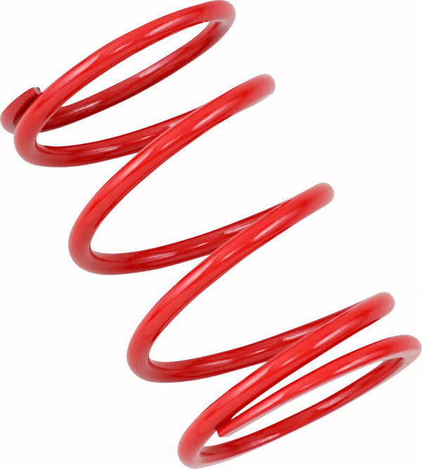 Epi Spring Patv1 PATV1