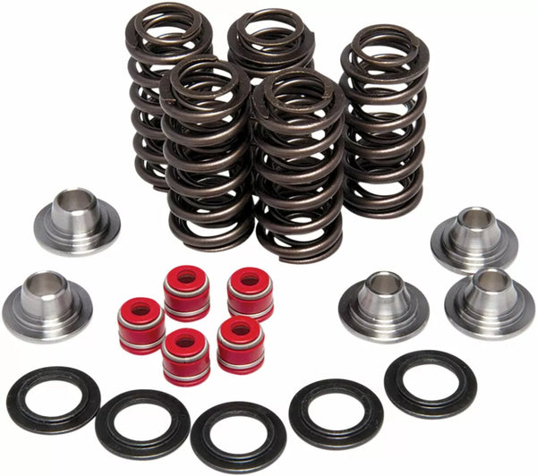 Kit kibshite yz450 kit de mola 80-80206